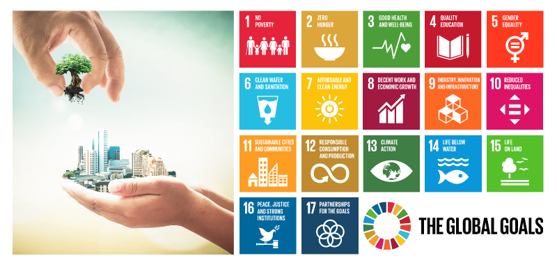 A Strategic Architecture of Sustainable System Development Education